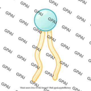Phospholipid 2 549