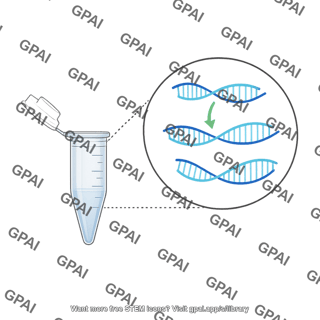 Cdna synthesis