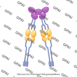 Tnf tnfr complex with 4crd