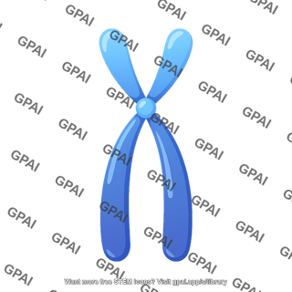 Simple chromosome