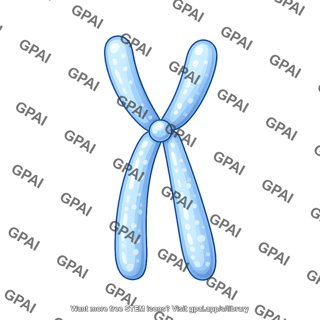 Chromosome simple submetacentric