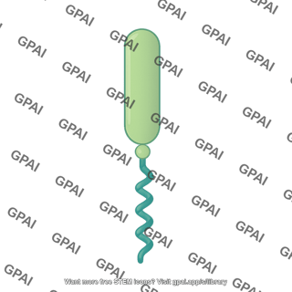 Cd157