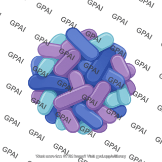 Ferritin