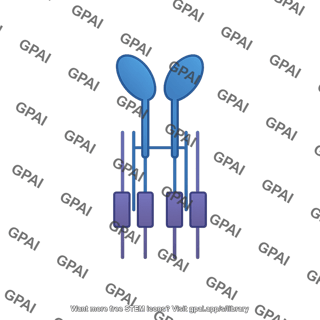 Nkg2d dap10 complex