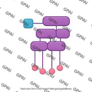 Inflammasome nek7