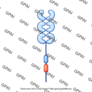 Ig like receptor 5 ecd 2 icd