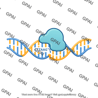 Restriction enzyme cleavage site recognition