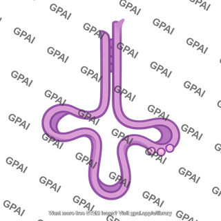 Trna 01