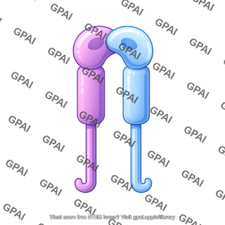 Il 2 subunit il 2 cd122