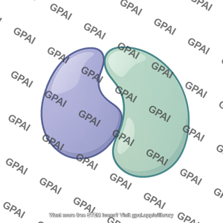 Cdk cyclin complex