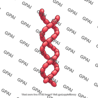 Tau protein filament paired helical
