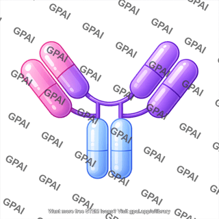 Antibody igg round style