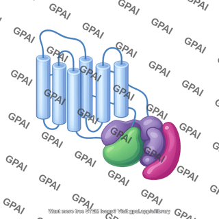 Gpcr with g protein