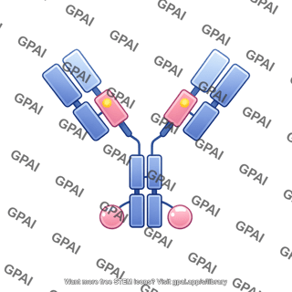 Antibody drug conjugate editable