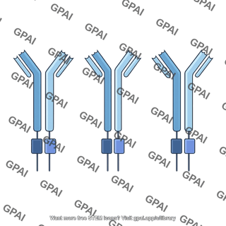 Bcr labeled