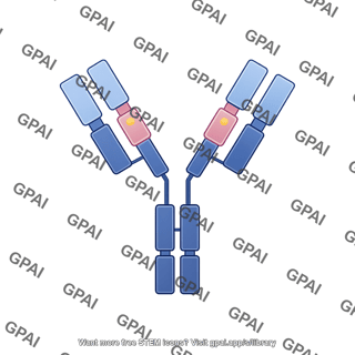 Antibody 2 mutations editable