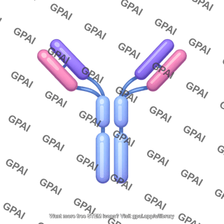 Antibody igg3 round style editable