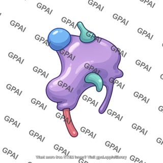 Wnt protein