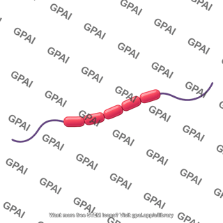 Tau protein monomer