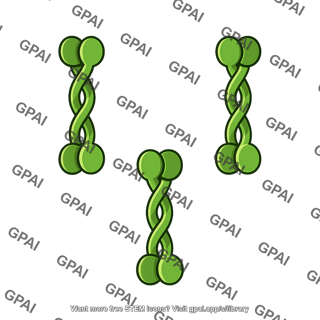 Transverse filament