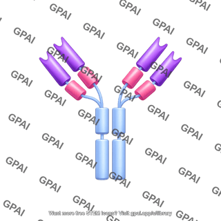 Antibody igg3 with domains