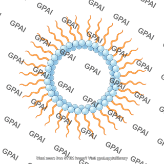Inverted micelle large single tail