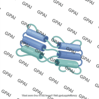 Lgi1 dimer