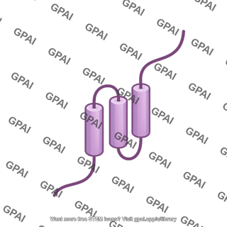 Gamma secretase pen2