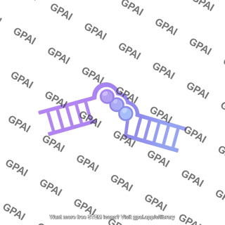 Rna three nucleotide bulge bent
