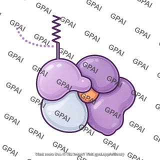 G protein heterotrimeric alpha inactive