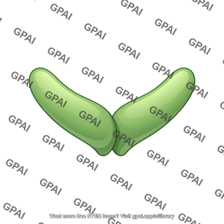 Tgf beta ligand