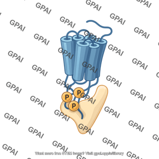 Gpcr beta arrestin complex