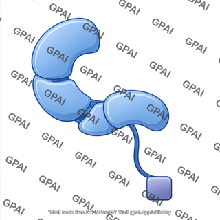 Apoptosome apaf1 inactive