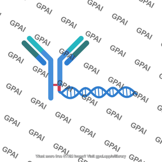 Antibody dna conjugate generic editable