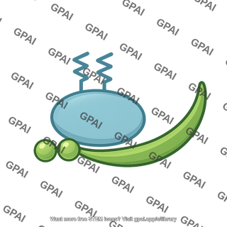 Granuphilin with rab27 schematic