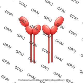 Pd l1 pd l2 dimer