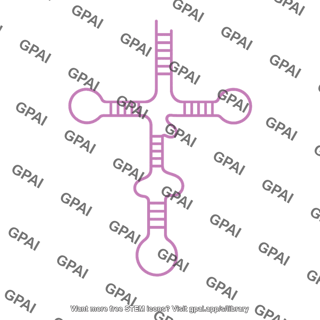 Trna intermediate
