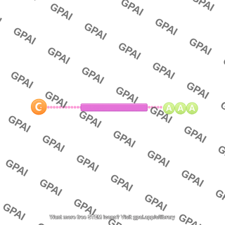 Mrna schematic