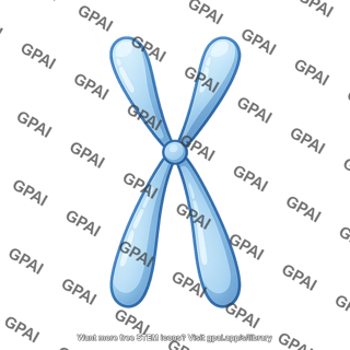 Chromatid simple metacentric