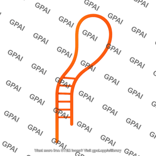 Spcas9 sgrna stem loop medium