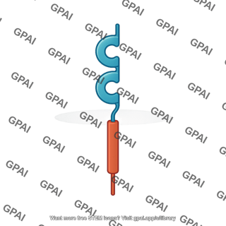 Cd147