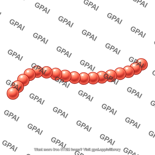 Generic protein linear