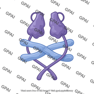Tgf  latent complex editable