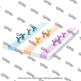 Lateral flow assay device with antibodies 962