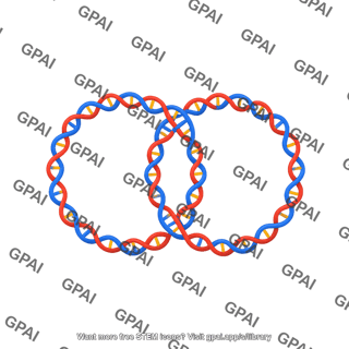 Dna catenated 2