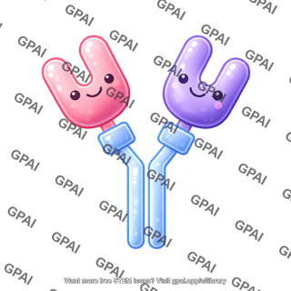 Antibody round style humanized