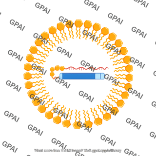 Lipid nanoparticle with mrna