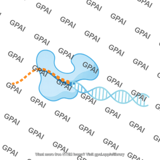Reverse transcriptase transcribing 1