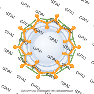 Vesicle clathrin coated