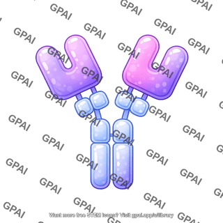 Antibody ige round style with domains